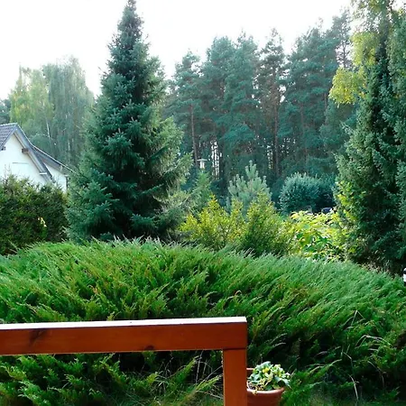 Ferienhaushälfte Fleesensee Silz (Mecklenburg-Vorpommern)